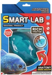 Zinātniskais anatomijas komplekts – zivs