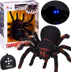 RC tarantula – reālistisks tālvadāms zirneklis