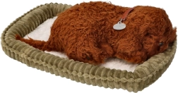 Perfect Cuddly Pet Sleeping Puppy Poodle