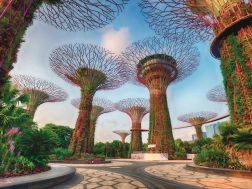 Ravensburger puzle Super koki Singapūrā, 1500 gabaliņi