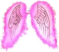 Rozā spārni eņģelim un fejai