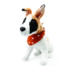 Pūkains sunītis Gump