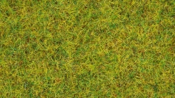 Statiskā zāle Vasaras pļava 2,5 mm