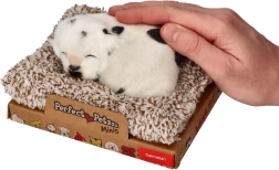 Rijošs dalmācietis uz mīkstas guļvietas