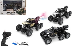 Remote-controlled car with charger