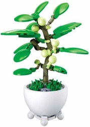 Sluban tropu augs puķu podā