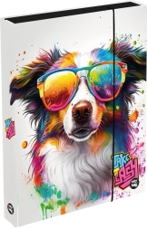 A4 Jumbo klade kaste ar suni