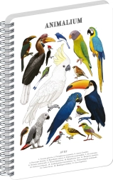 Notique spirālbloks Animalium – putni, bez līnijām, A4