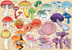Mushroom Mania Puzzle 1000 Pieces