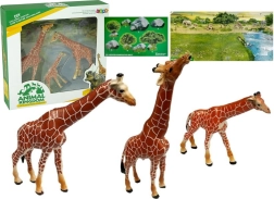 Izglītojošas žirafu figūriņas Ģimene 3 gab. + Afrika fons