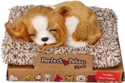 Guļošs kucēns Cavalier King Charles Perfect Petzzz
