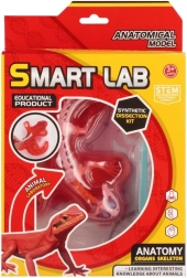 Zinātniskā anatomijas komplekts – ķirzaka