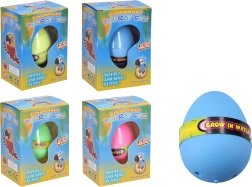Augoša ola ar papagaili 6,5 cm – 1 gab.