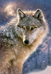 Puzle 500 gabali lone wolf