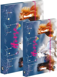 Set of A4 and A5 Notebook Boxes – Horse