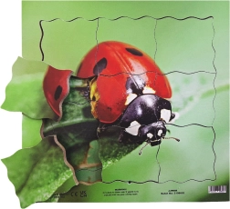Just Jigsaws koka slāņveida puzle “Mārīte un tās dzīves cikls” (19 gab.)