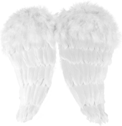 Eņģeļa spārni ar spalvām