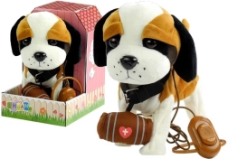 Interaktīvs bernardīns uz pavadas ar būdu