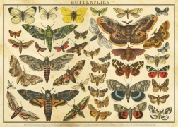 Puzzle Vintage Nature: Butterflies 2000 Pieces