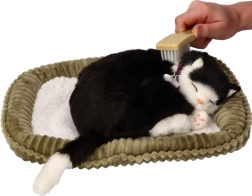 Adoptē mani – elpojoša melnbalta kaķenīte