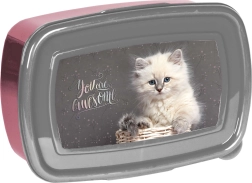 Paso uzkodu kārba ar kaķīti 750 ml