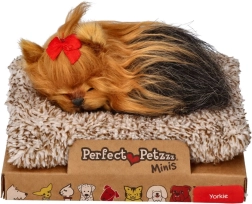 Perfect Petzzz mazais jorkšīras terjera kucēns