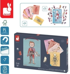Janod magnētiskā puzle “Cilvēka ķermenis”