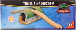 Maxim koka tunelis ar pārvadu