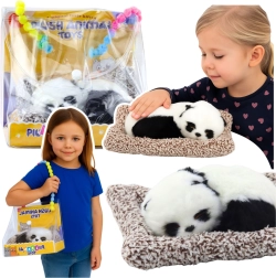 Guloša panda uz spilventiņa ar maigu kažociņu caurspīdīgā somā