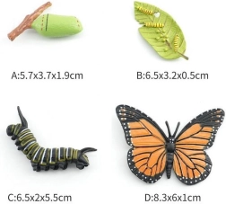 Butterfly Figurine in 4 Developmental Stages