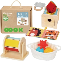Montessori izglītojošā kaste 6in1 zīdaiņiem 5–6 mēneši WOOPIE