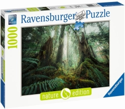 Puzzle 1000 Piece Forest Ravensburger