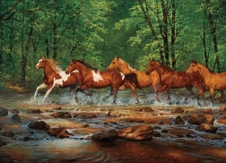 Puzle “Klus v Spring Creek” 1000 gabali