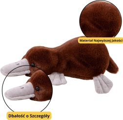 Brūna mīksta rotaļlieta pīļknābis 32 cm