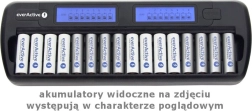 Processor charger for 16 AA/AAA batteries