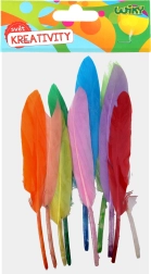 Radošs dekoratīvo spalvu komplekts