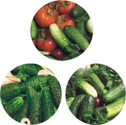 Set of metal canning jar lids Ø 82 – 6 lugs, cucumber design (10 pcs)