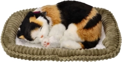 Elpojošs trīskrāsu kaķēns uz guļvietas