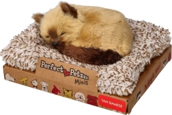 Perfect Petzzz mazs siāmietis kaķēns
