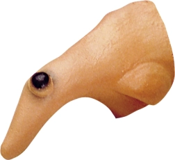 Raganai paredzēts deguns ar kārpu