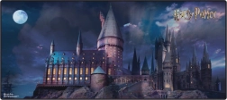 Spēļu paliktnis HARRY POTTER 90 × 40 cm