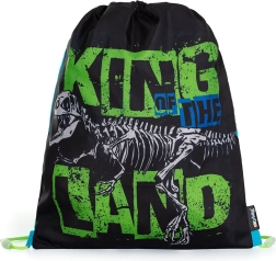 Premium Gym Bag Dinosaur