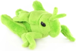 Pūkains pļavas siseņis