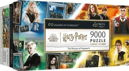 9000 gabalu puzle Cūkkārpas nams Harry Potter