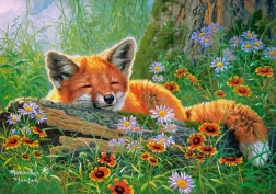 Puzle 500 gab. Foxy Dreams