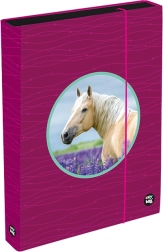 A4 Notebook Box Jumbo OXY Sherpy Pink
