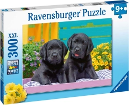 Ravensburger puzle Puppy Life 300 gabaliņi