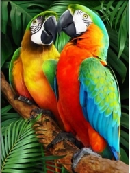 Diamond mosaic (diamond painting) Colorful macaws 30 × 40 cm