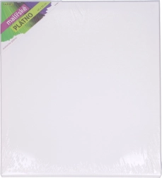 Gleznošanas audekls 40 × 50 cm