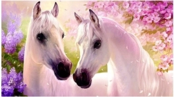 Diamond Painting – Horses in Love 30x40 cm NORIMPEX